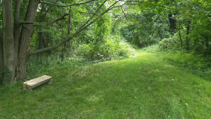 Danner Family Preserve Picture 4