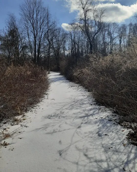 Danner Family Preserve Picture 9