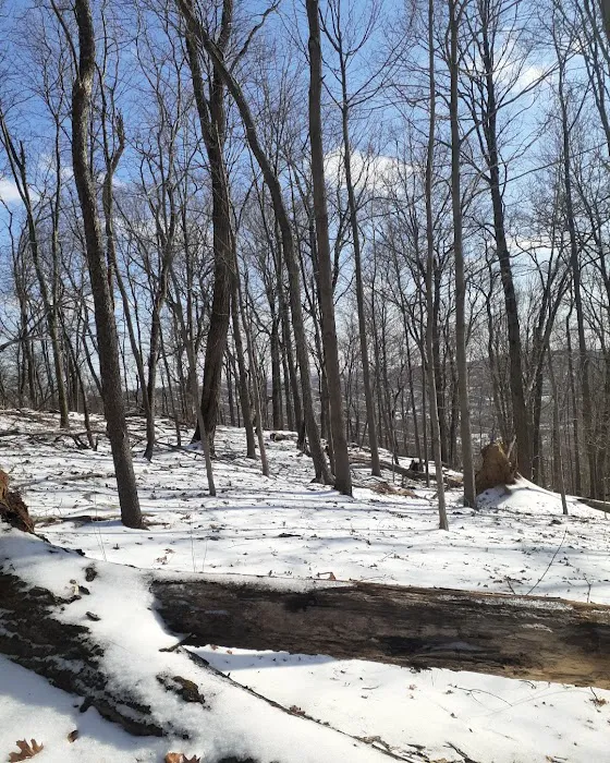 Danner Family Preserve Picture 10