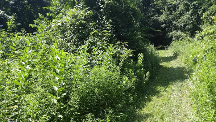 Danner Family Preserve Picture 3