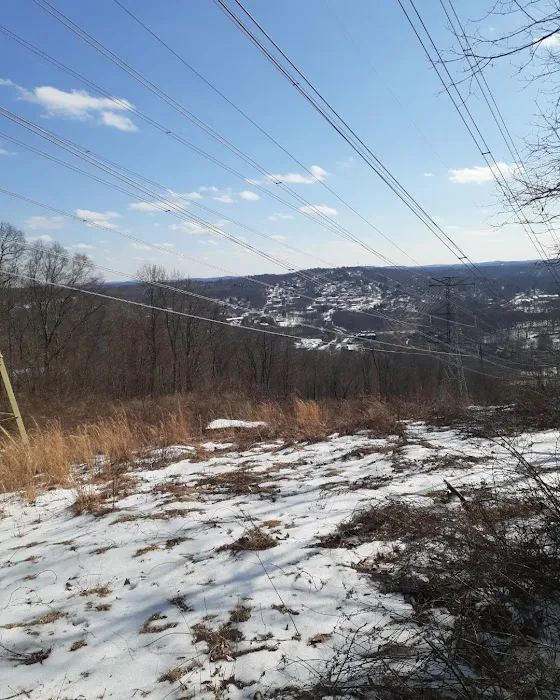Danner Family Preserve Picture 7