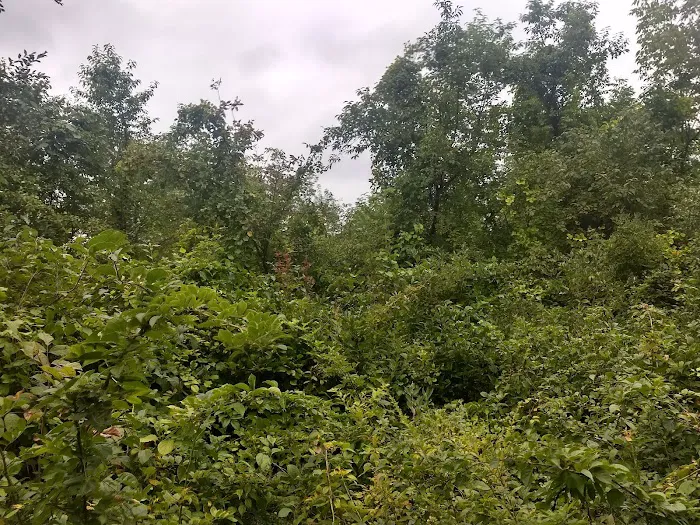 Donald J. Trump State Park Picture 10
