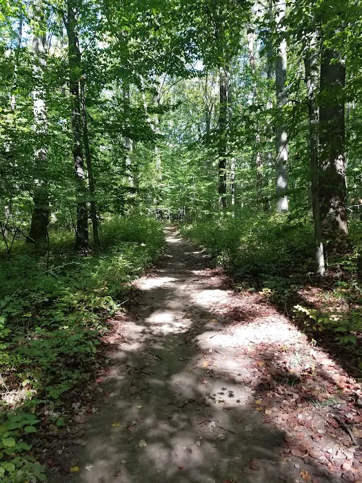Donald J. Trump State Park Picture 3