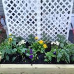 Elko Schutte Carpenter Trailer