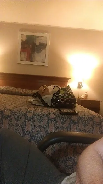 Budget Motor Inn Picture 1