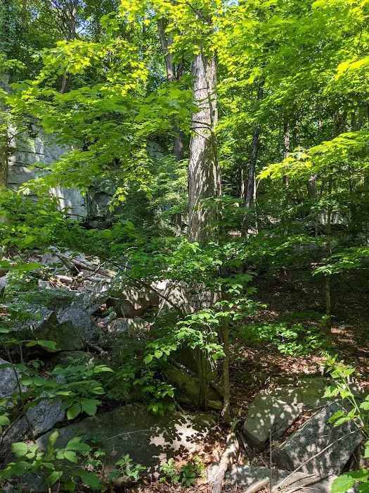 Granit Mine Trail Picture 3