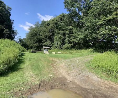 Gilly Lane Sledding Hill