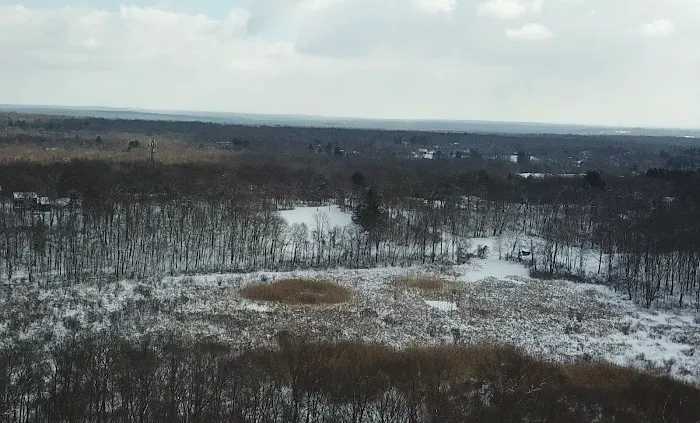 Gilly Lane Sledding Hill Picture 2