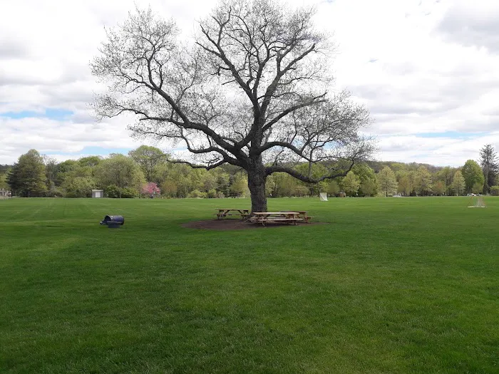 Allens Meadows Park Picture 1