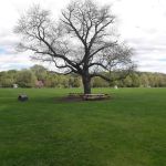 Allens Meadows Park