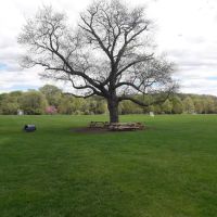 Allens Meadows Park ico