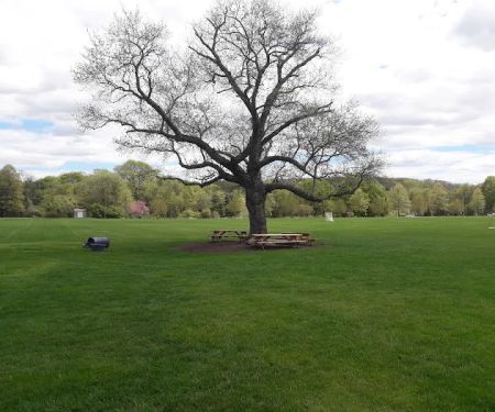 Allens Meadows Park