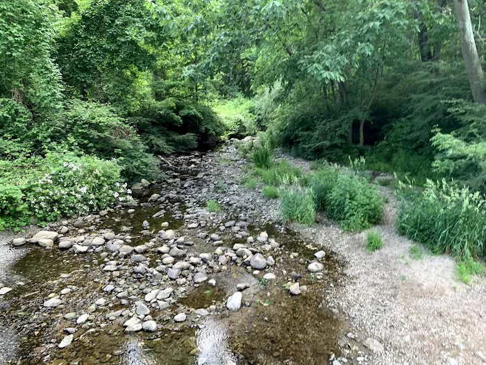 Merwin Meadows Park Picture 4