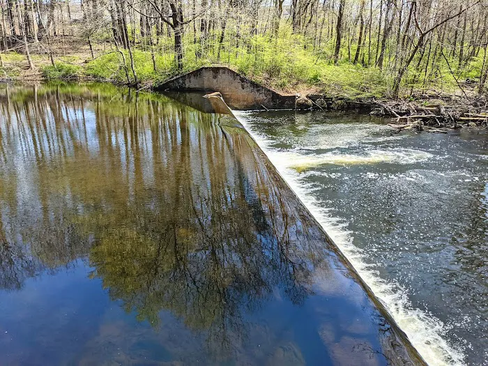 Merwin Meadows Park Picture 1
