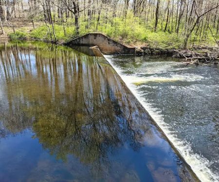 Merwin Meadows Park