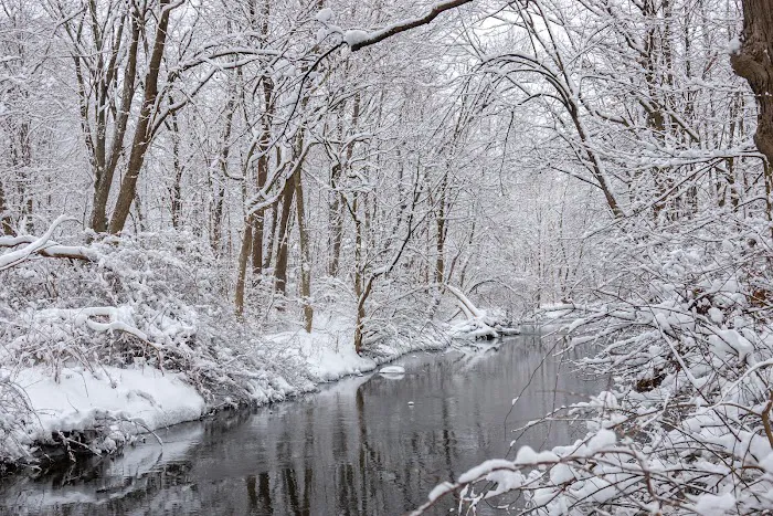 Schenck's Island Picture 6