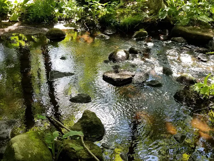 Spectacle Swamp Picture 1