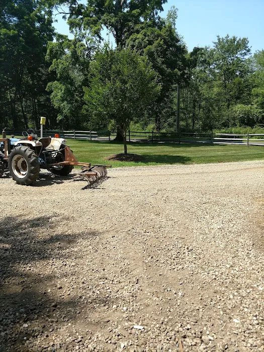 Spectacle Swamp Picture 8
