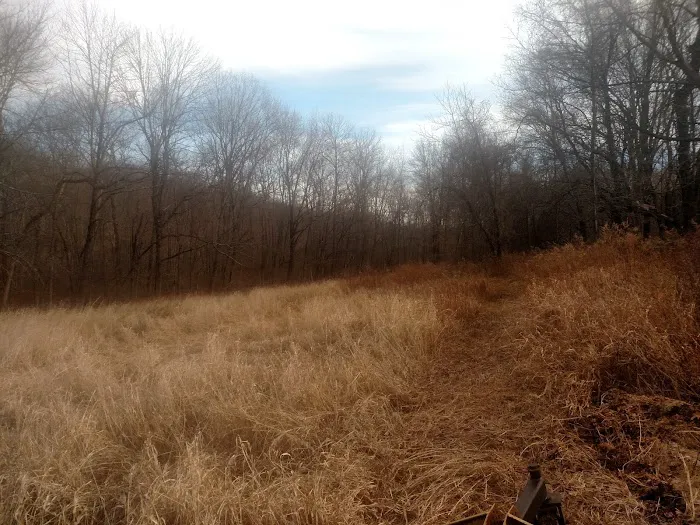 Spectacle Swamp Picture 4