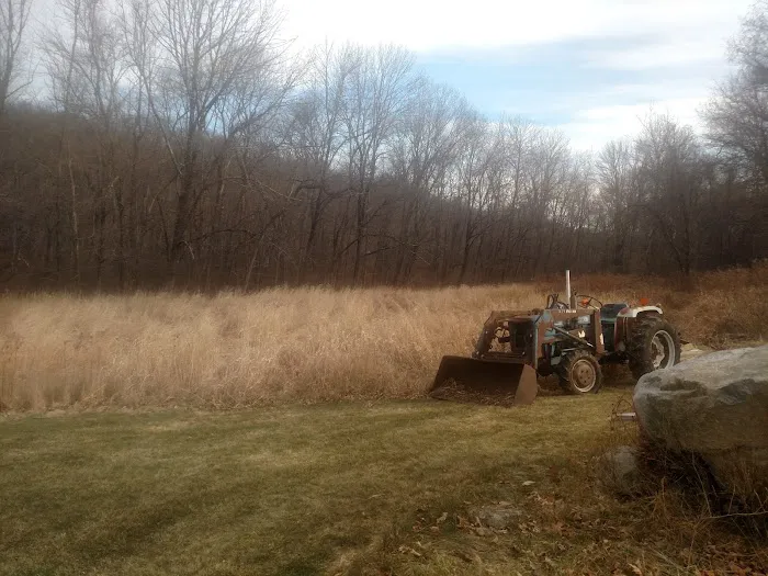 Spectacle Swamp Picture 6