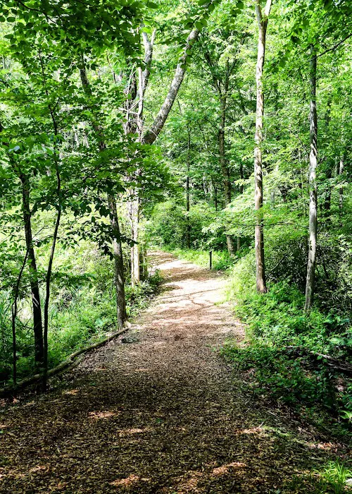 Woodcock Nature Center Picture 6
