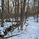 West Mountain Refuge