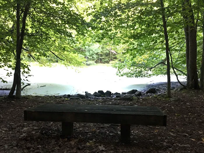Cherry Lane Park Picture 9