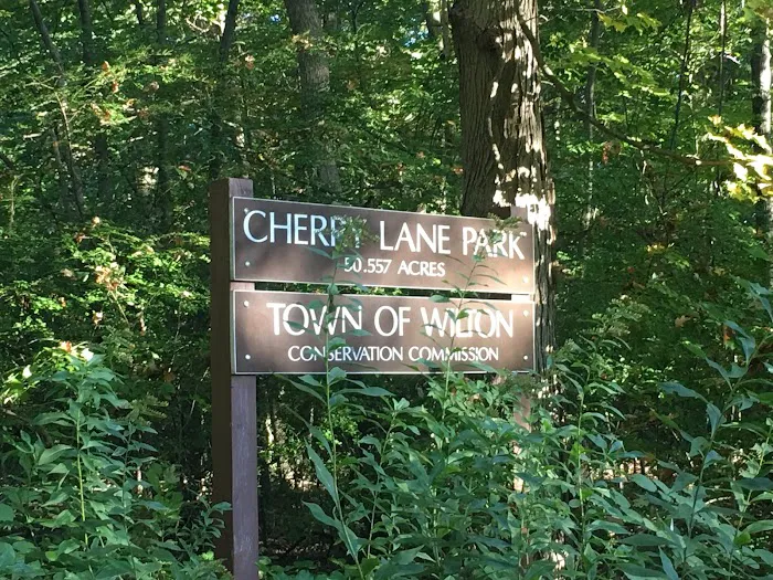 Cherry Lane Park Picture 7