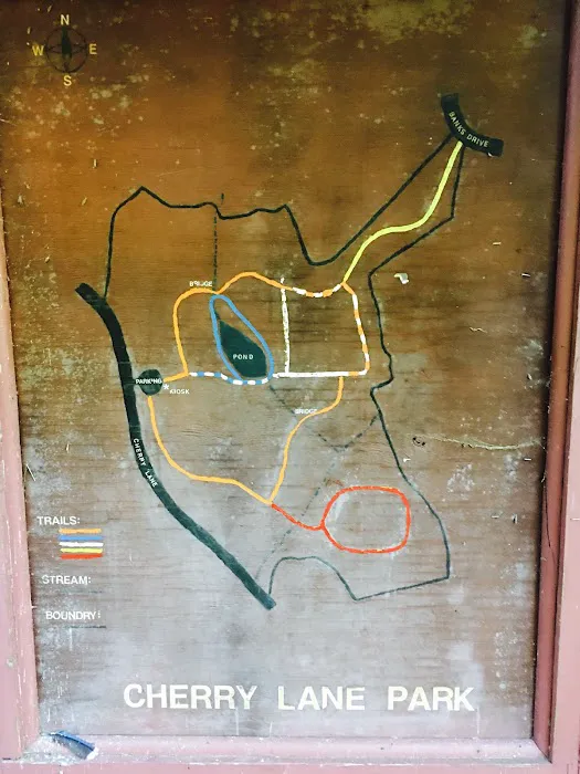 Cherry Lane Park Picture 4