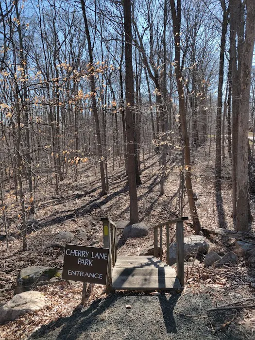 Cherry Lane Park Picture 8