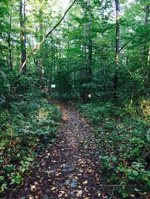 Cherry Lane Park Picture 5