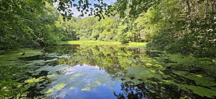 Cherry Lane Park Picture 3