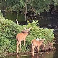 North End Norwalk River Valley Trail ico