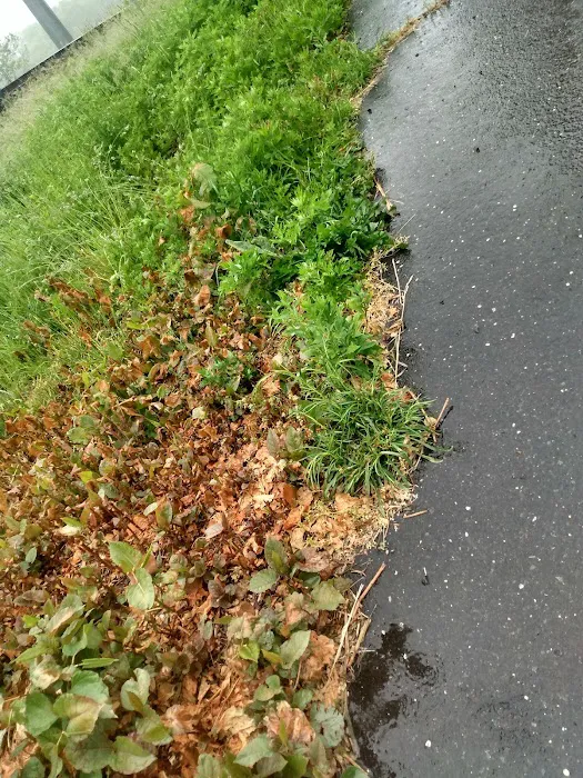 North End Norwalk River Valley Trail Picture 7