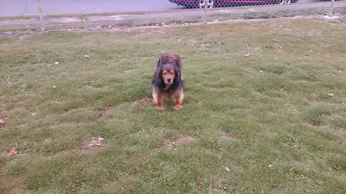 Broad River Park Picture 2