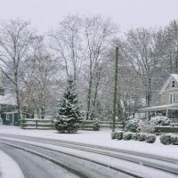 Broad River Park ico