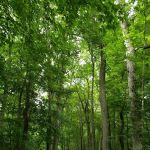 Norwalk River Valley Trail (NRVT)