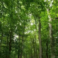 Norwalk River Valley Trail (NRVT) ico