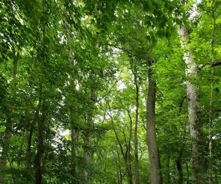 Norwalk River Valley Trail (NRVT)
