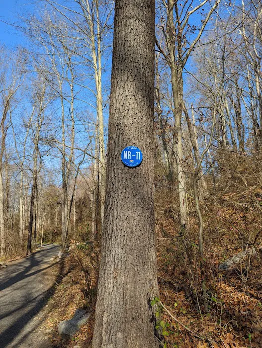 Norwalk River Valley Trail (NRVT) Picture 2