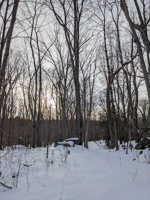Norwalk River Valley Trail - North Parking Picture 4