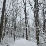 Norwalk River Valley Trail (Skunk Lane Entrance)