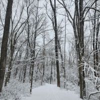 Norwalk River Valley Trail (Skunk Lane Entrance) ico
