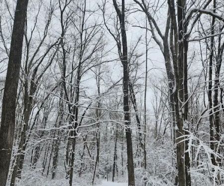 Norwalk River Valley Trail (Skunk Lane Entrance)