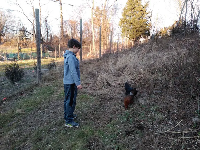 Fodor Farm Picture 6