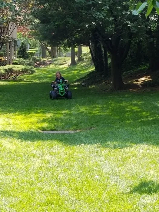 Flax Hill Park Picture 4