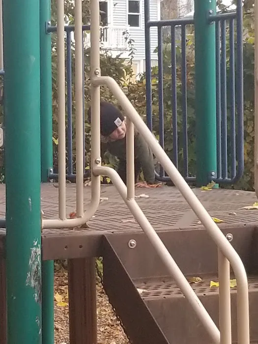 Flax Hill Park Picture 1
