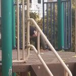 Flax Hill Park