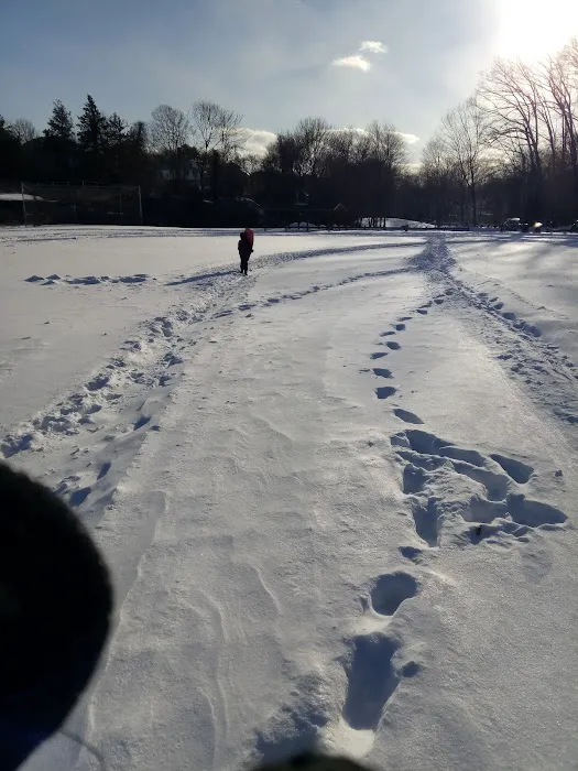 Flax Hill Park Picture 10