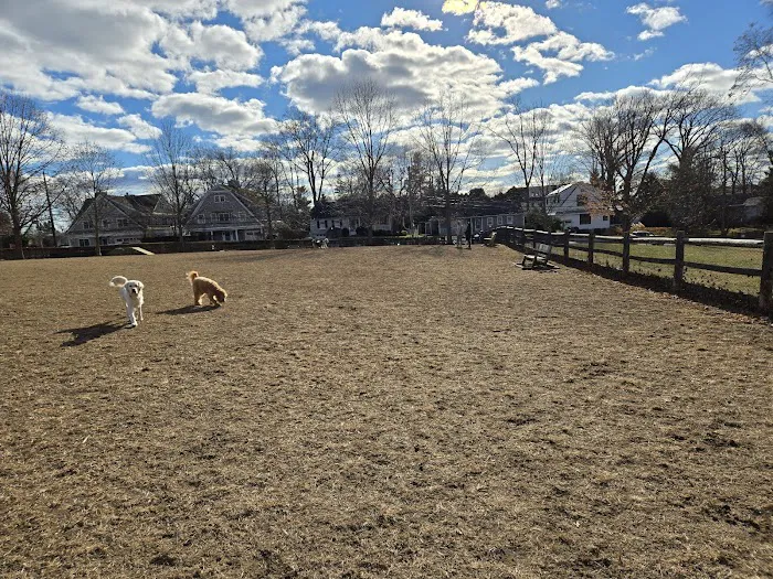Rowayton Dog Park Picture 1